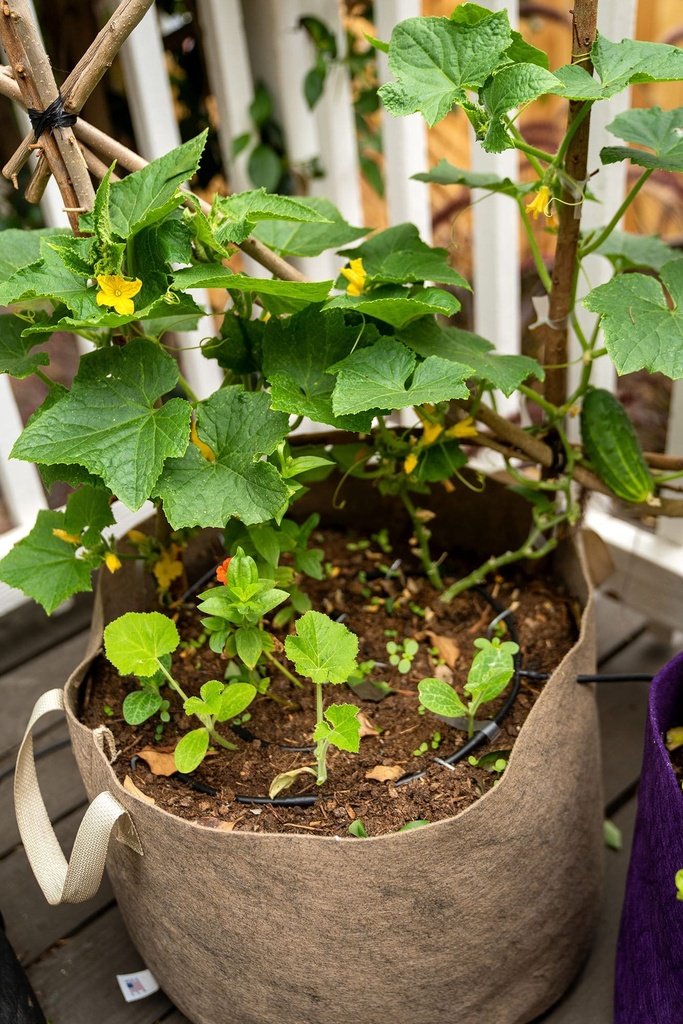 SMART POT FABRIC PLANTER