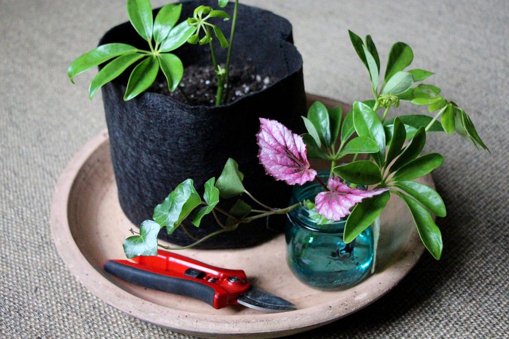 SMART POT FABRIC PLANTER