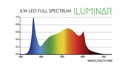 Spectrum