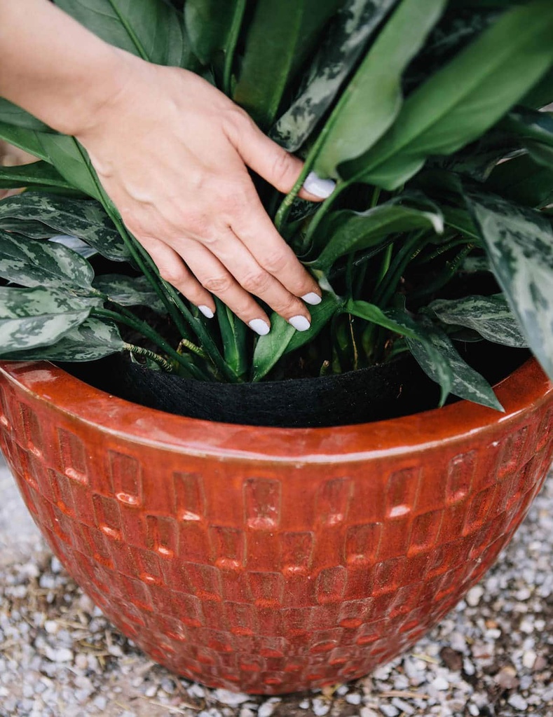 Smart Pot Fabric Pot (Tan)