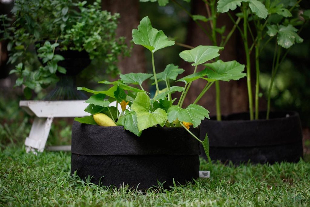 Smart Pot Fabric Pot (Tan)