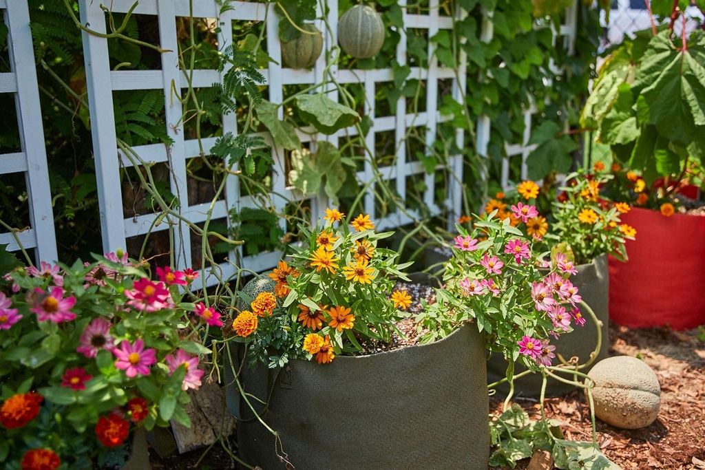 Pot w/handles