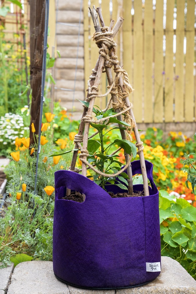 Smart Pot Fabric Pot w/ Handles (Tan)