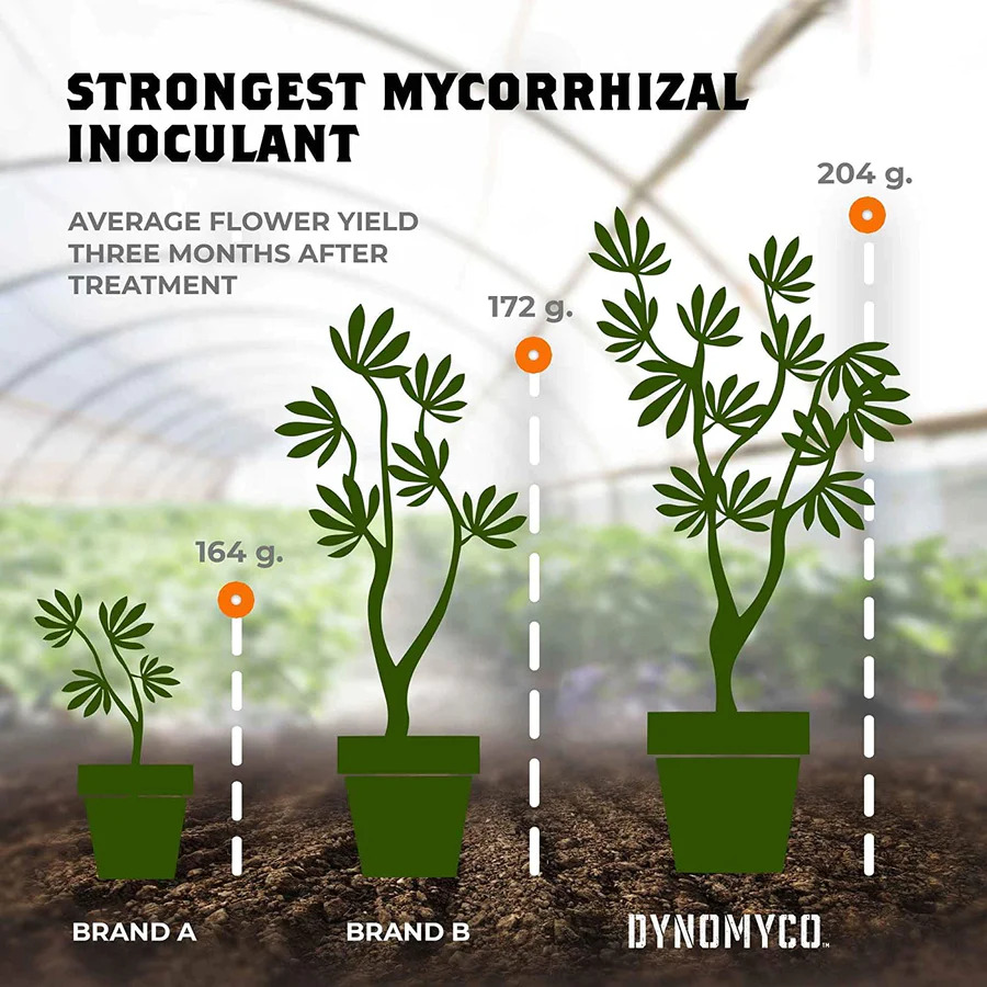 Mycorrhizal Inoculant