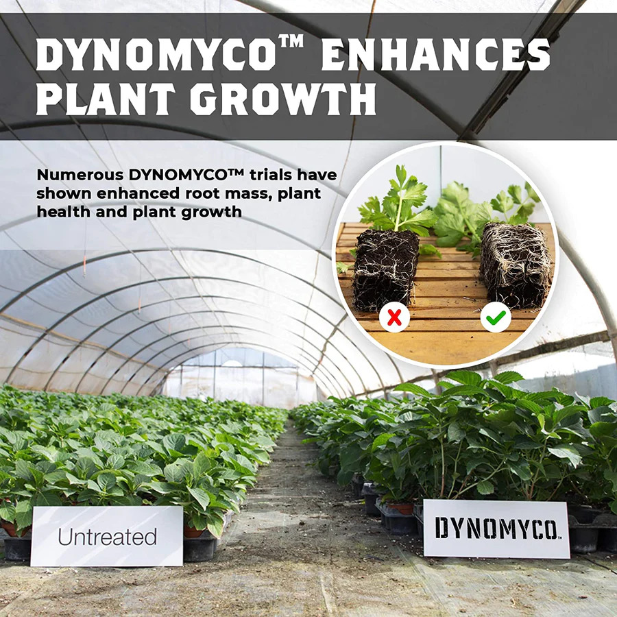 Mycorrhizal Inoculant