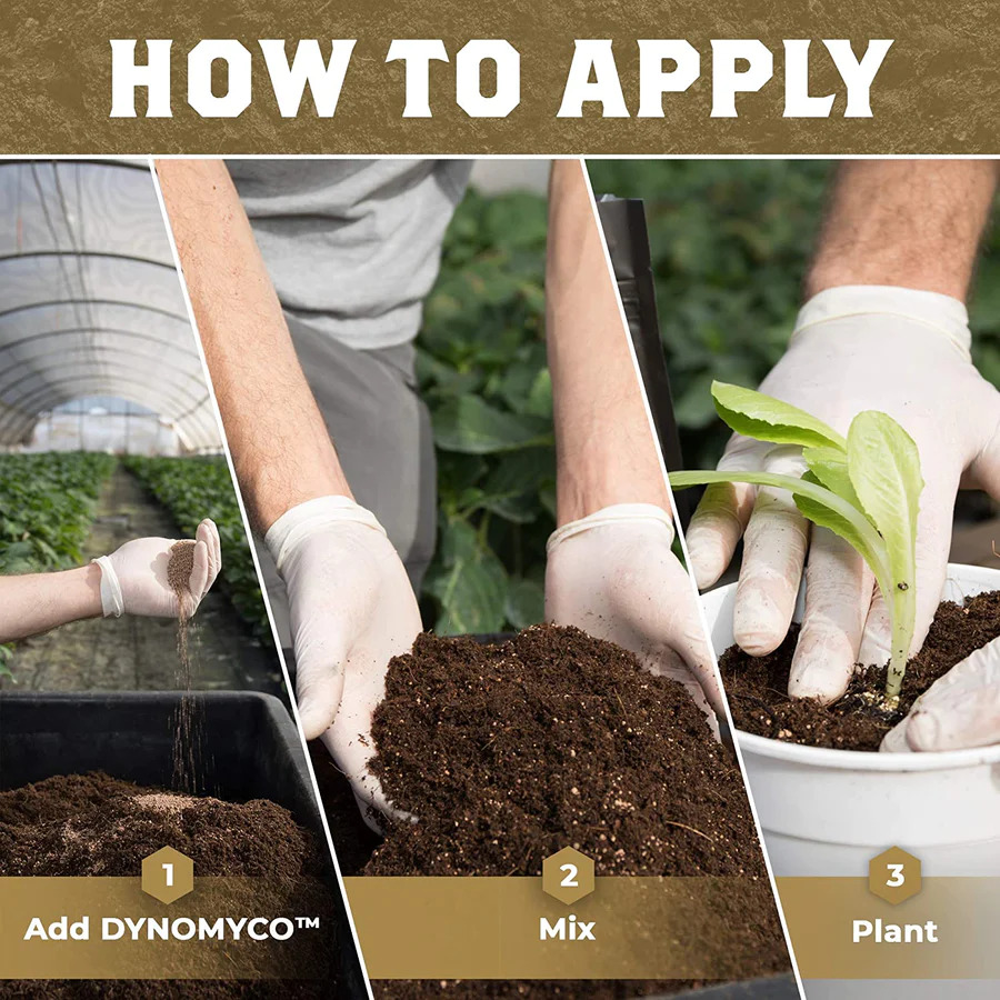 Mycorrhizal Inoculant