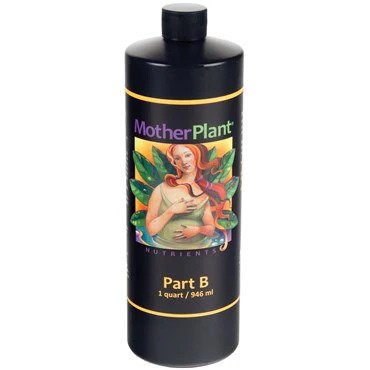HDI Mother Plant Part B
