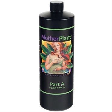 HDI Mother Plant Part A