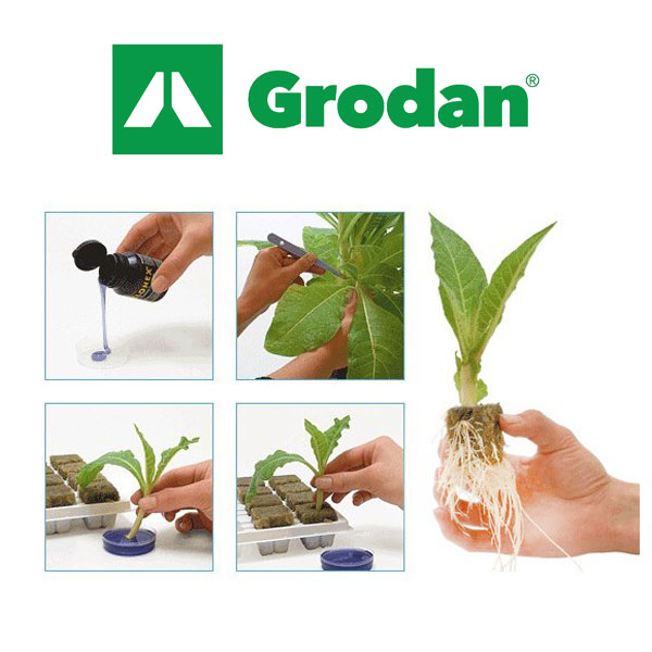 Grodan A-OK Starter Plug