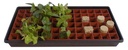 Grodan Gro-Smart Tray Insert