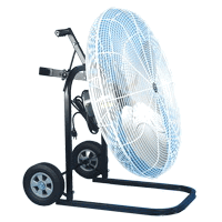 Schaefer Fan with Cart
