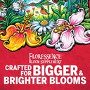 Floressence Bloom Supplement 1-1-1 Liquid Plant Supplement