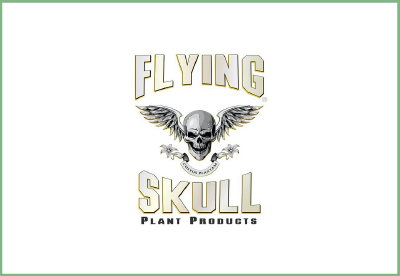 Flying Skull